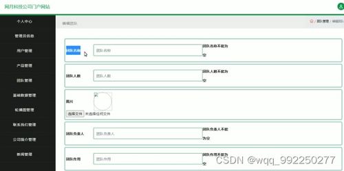 基于SSM框架的網月科技公司門戶網站開發與實現及技術推廣