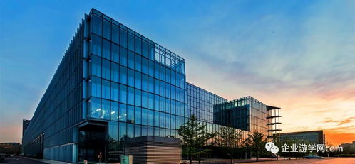 探索“簡單可依賴”的互聯(lián)網(wǎng)搜索產(chǎn)品及美術(shù)圖案設(shè)計服務(wù)